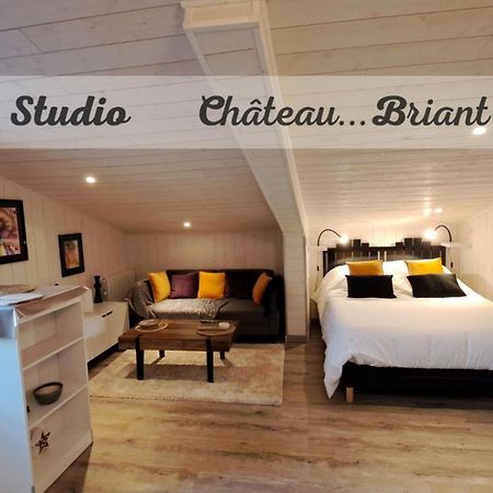 Studio-Centre Ville Шатобриан Экстерьер фото